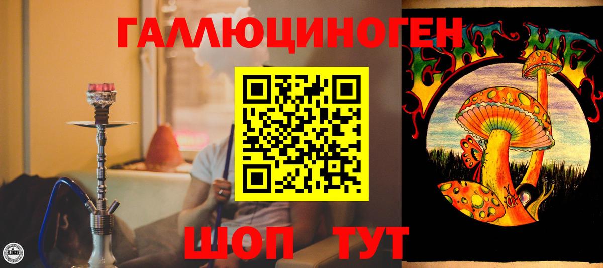 Москва  Псилоцибиновые грибы мицелий  Вход с VPN 